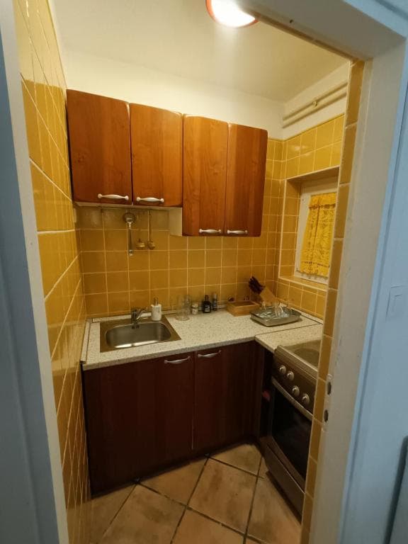 Apartment with Terrace photo 3